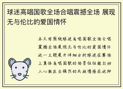 球迷高唱国歌全场合唱震撼全场 展现无与伦比的爱国情怀